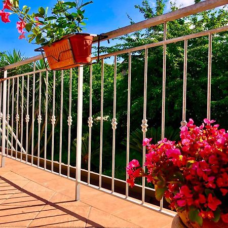 Il Ciliegio Villa Stella Cilento Exterior foto