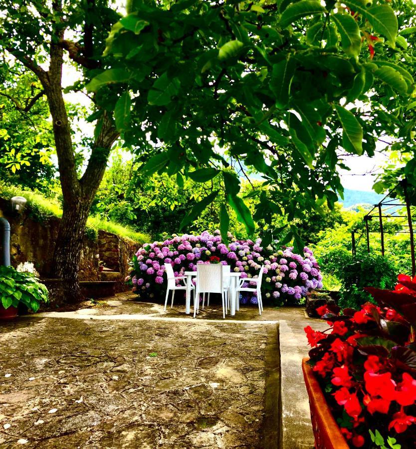 Il Ciliegio Villa Stella Cilento Exterior foto